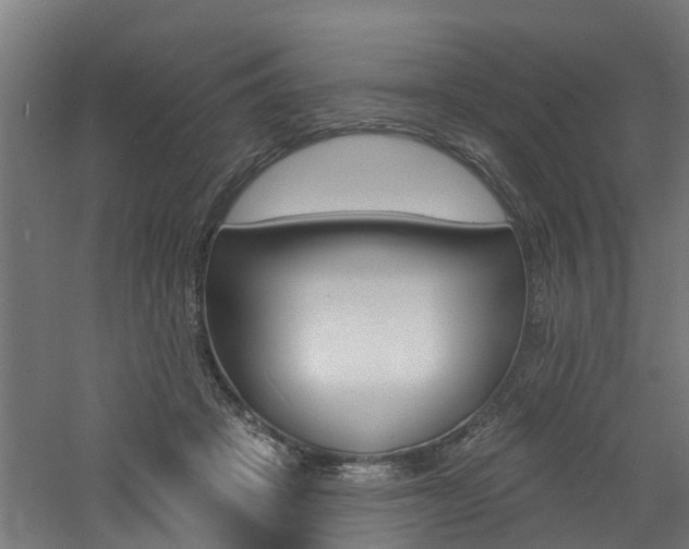 X0000060790457200511101038