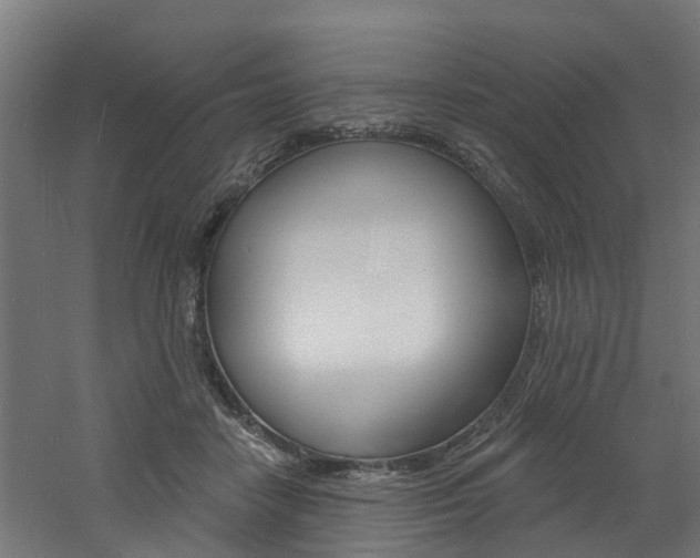 X0000060790458200511101038