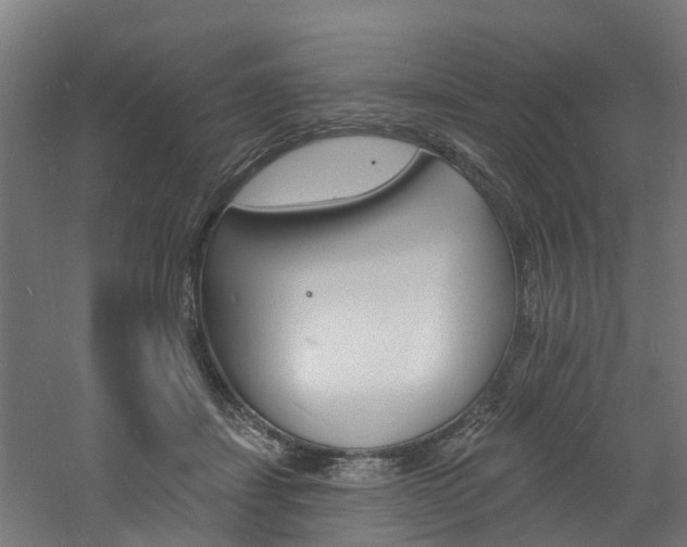 X0000060790459200511101038