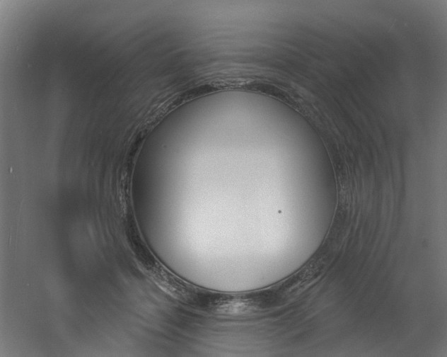 X0000060790460200511101039