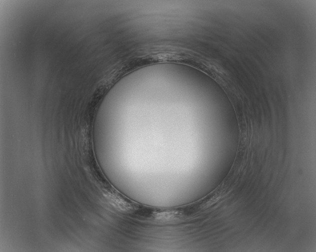 X0000060790461200511101039