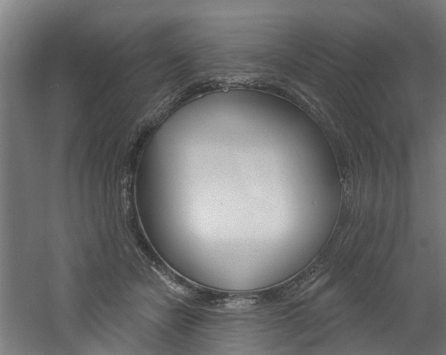 X0000060790462200511101039