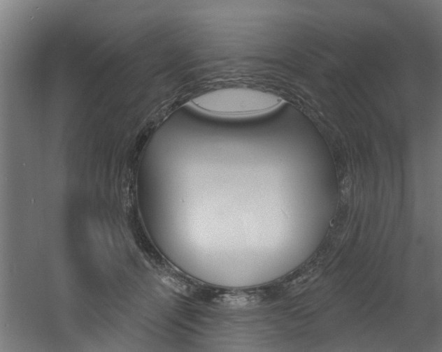 X0000060790464200511101039