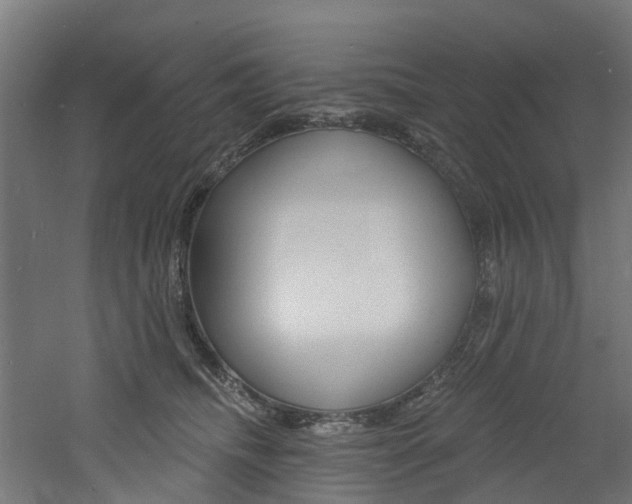 X0000060790468200511101039