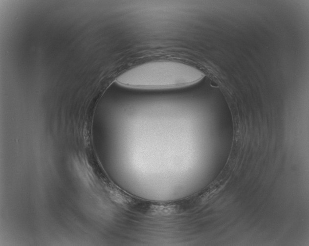 X0000060790469200511101039