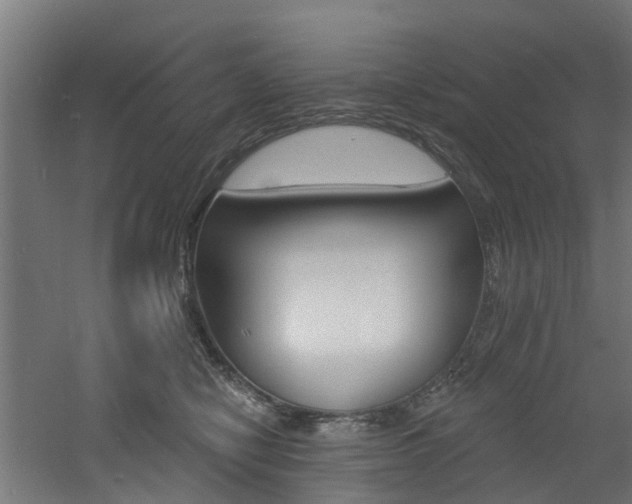 X0000060790470200511101039