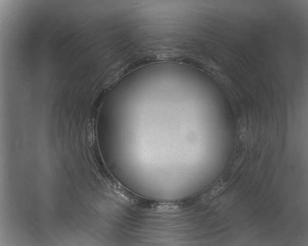 X0000060790471200511101039