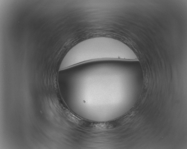 X0000060790473200511101039