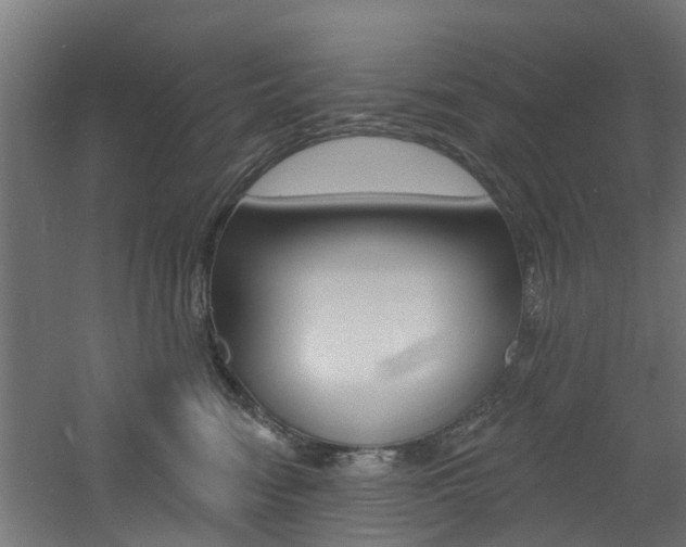 X0000060790474200511101039