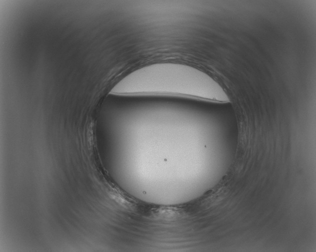 X0000060790475200511101039