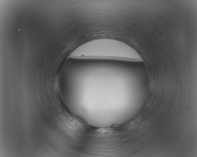 X0000060790477200511101039