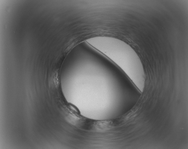 X0000060790479200511101039