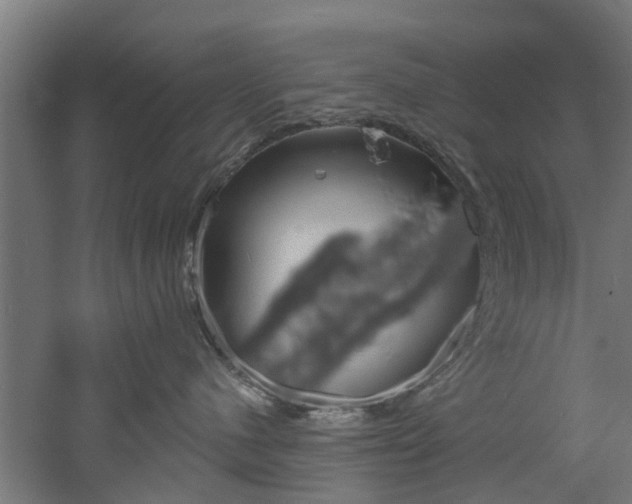 X0000060790480200511101039