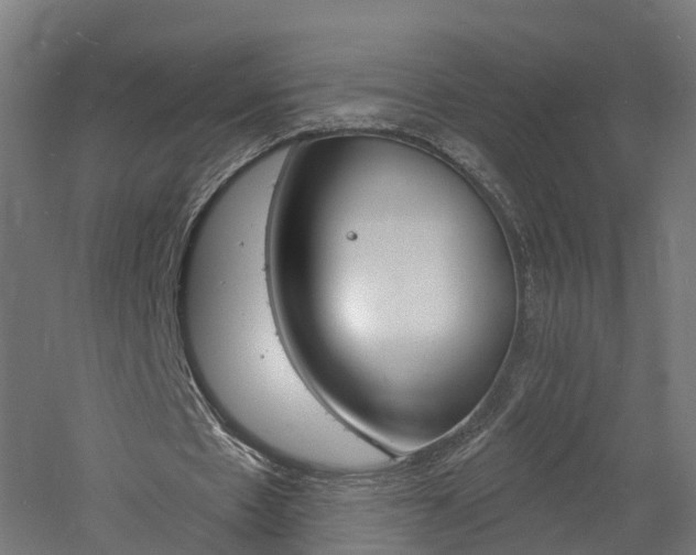 X0000060790481200511101038