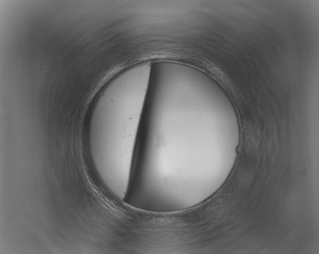 X0000060790482200511101038