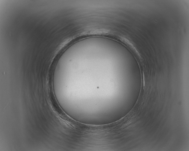 X0000060790483200511101038