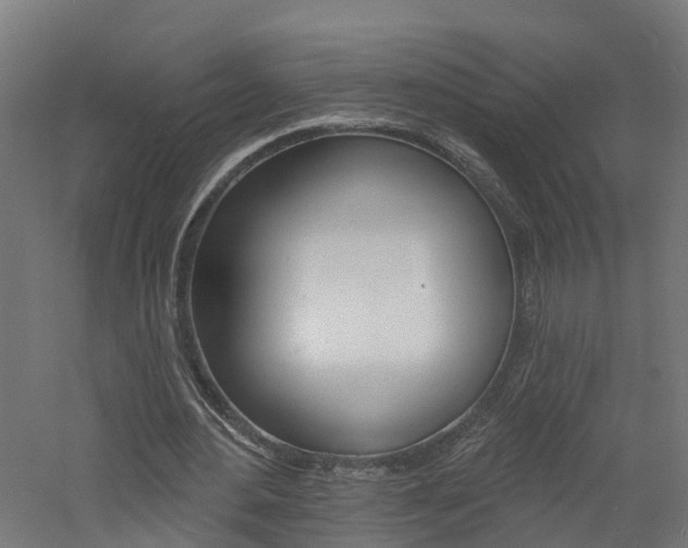 X0000060790484200511101038