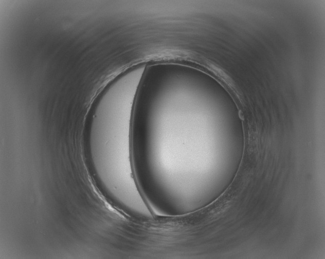 X0000060790485200511101038