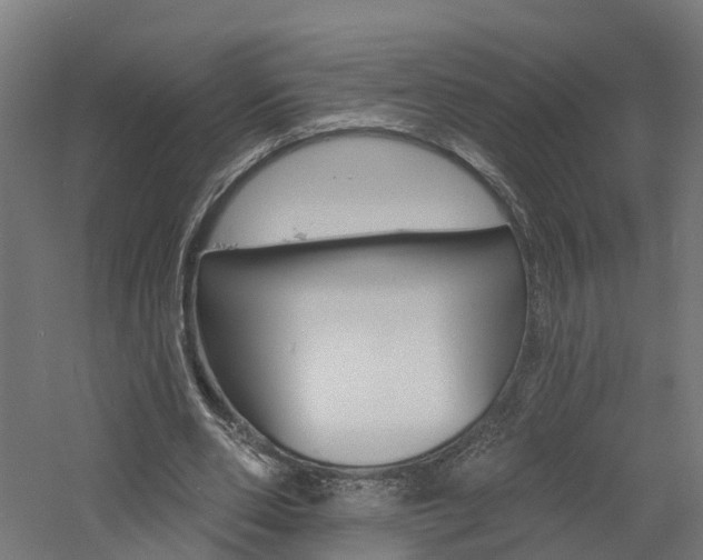 X0000060790486200511101038