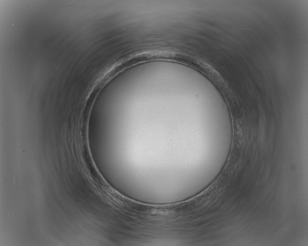 X0000060790487200511101038