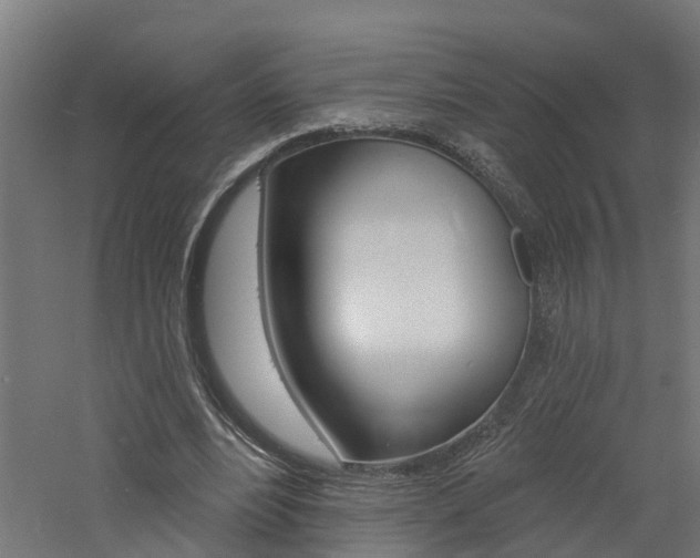 X0000060790488200511101038