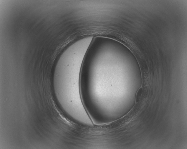 X0000060790489200511101038