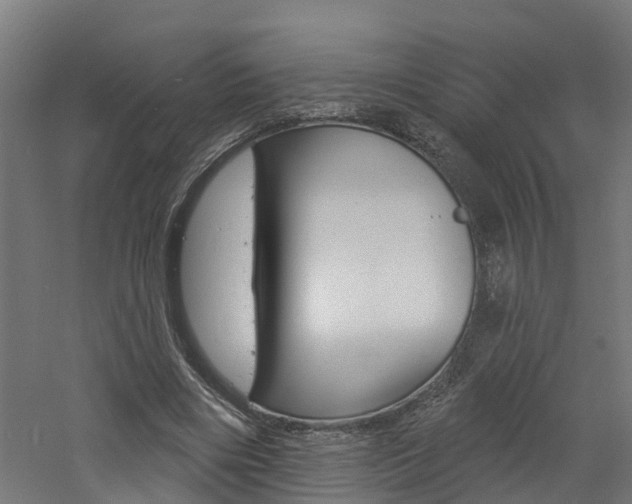 X0000060790490200511101038