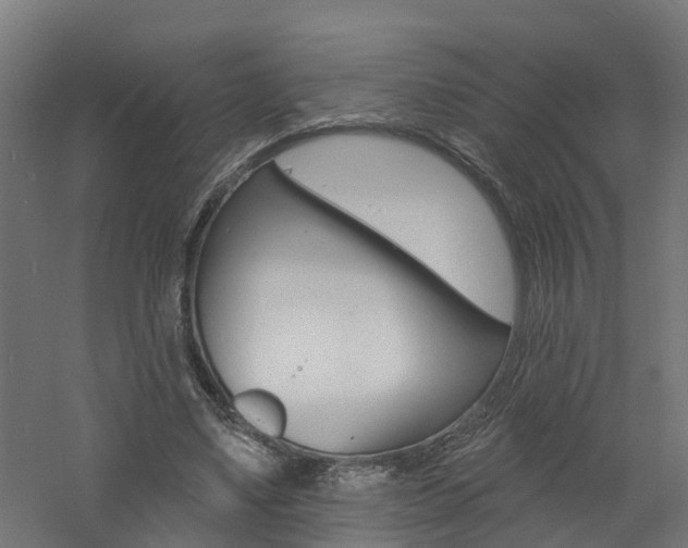 X0000060790491200511101038