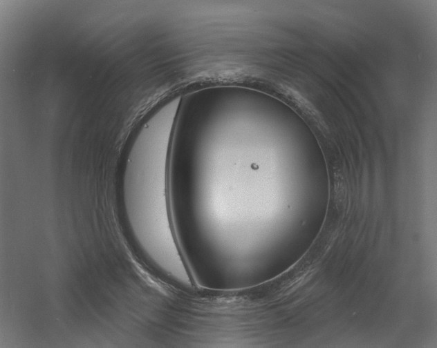 X0000060790493200511101038