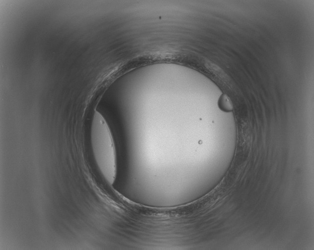 X0000060790494200511101038