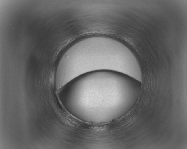 X0000060790495200511101038