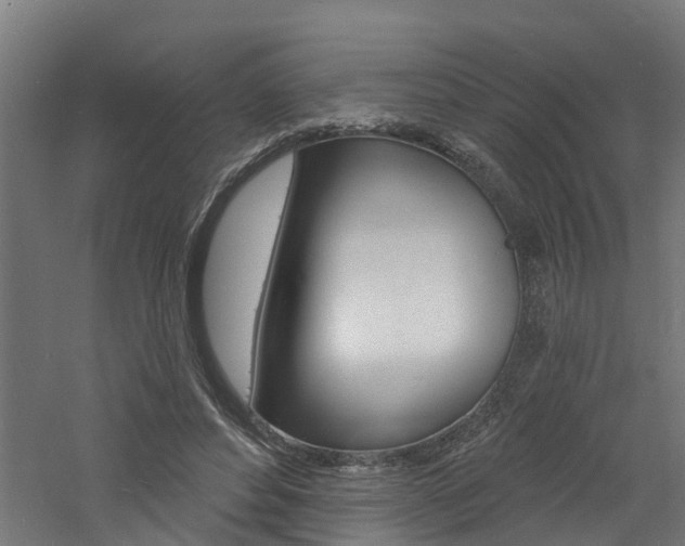 X0000060790496200511101038