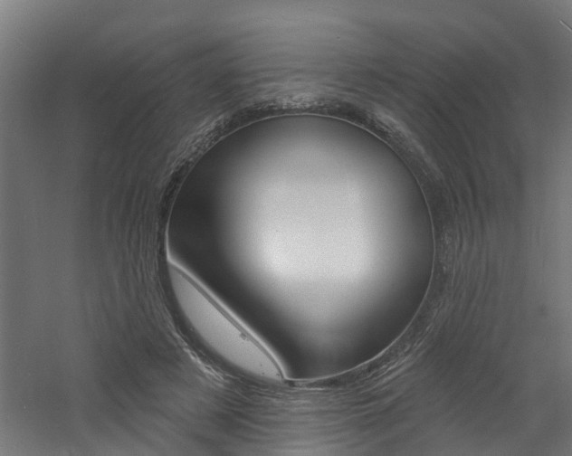 X0000060790497200511101038