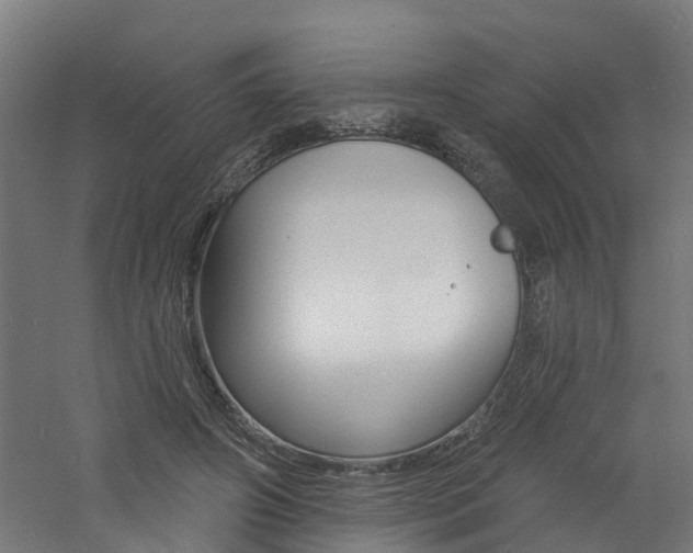 X0000060790498200511101038