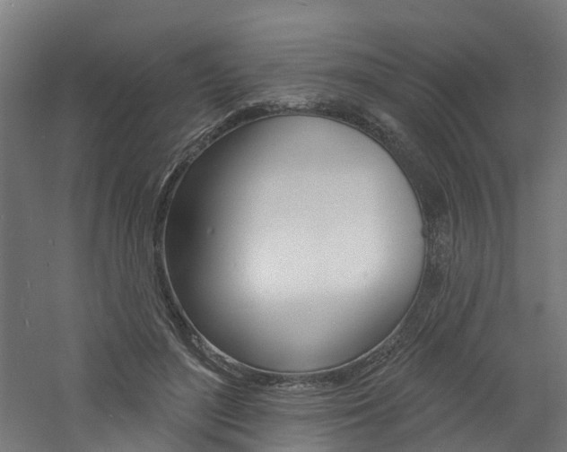 X0000060790500200511101038