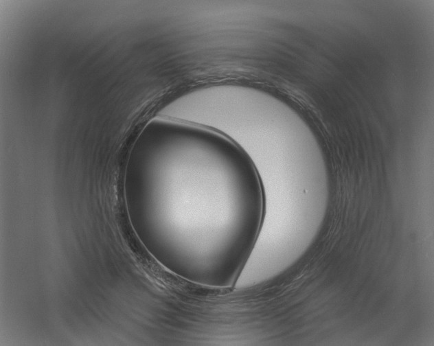 X0000060790501200511101038