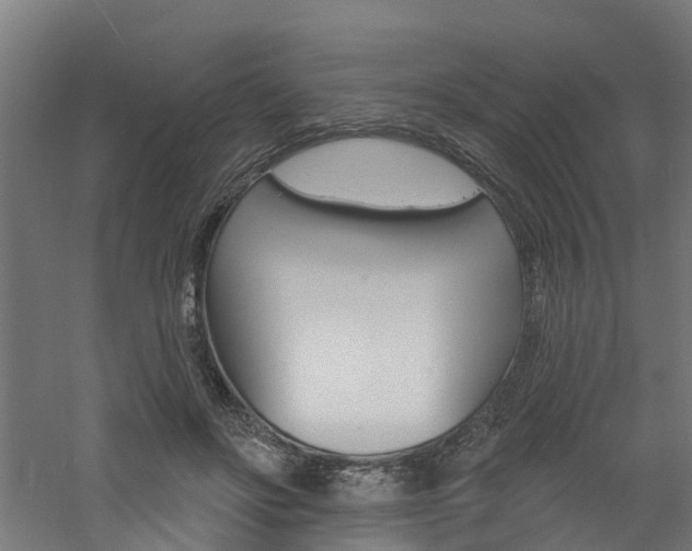 X0000060790502200511101038