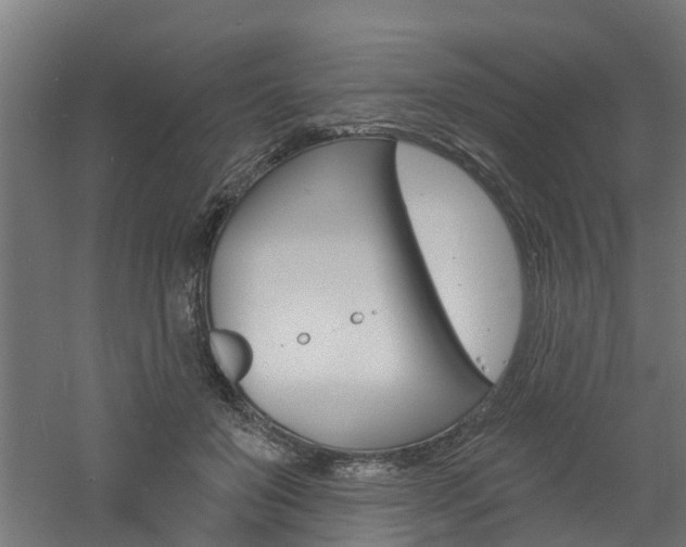 X0000060790503200511101038