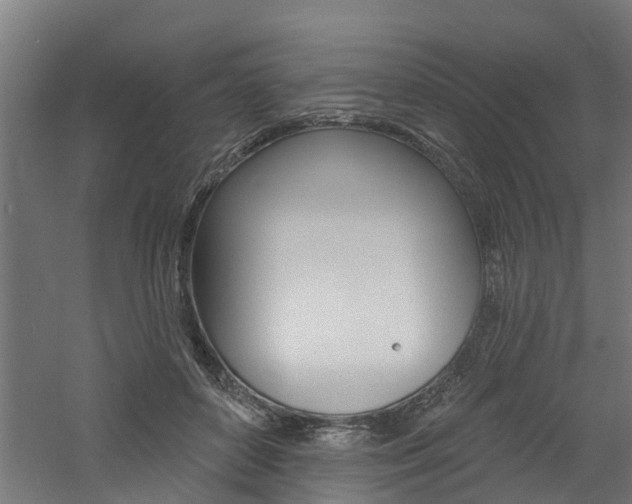 X0000060790504200511101038