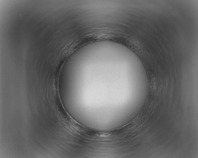 X0000060790506200511101038