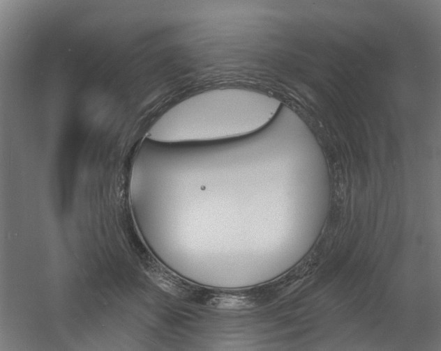 X0000060790507200511101038