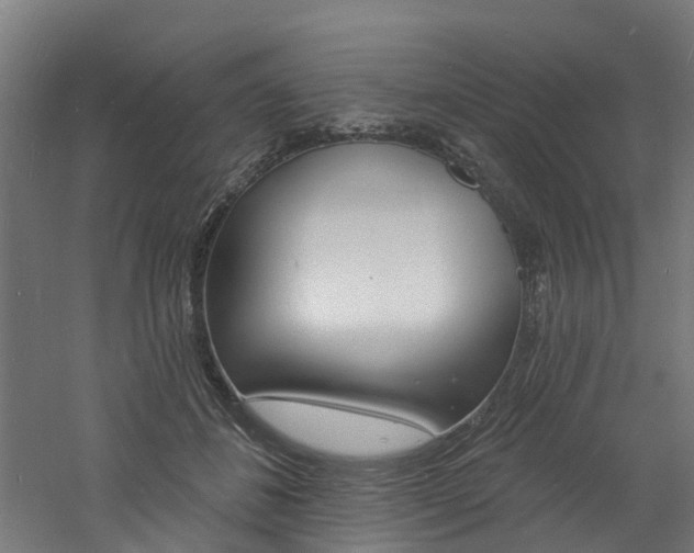 X0000060790508200511101038