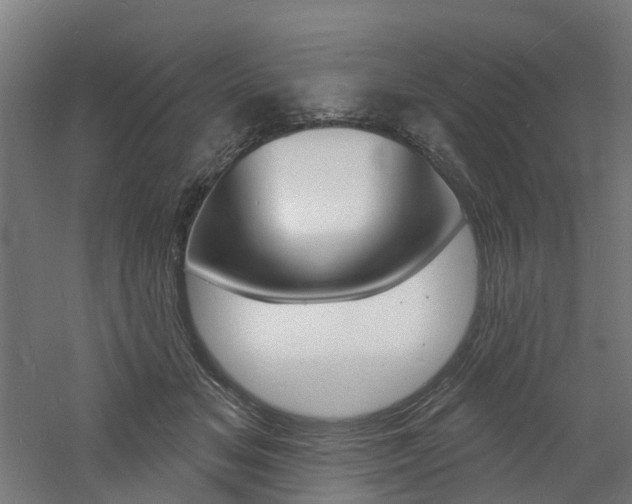 X0000060790509200511101038