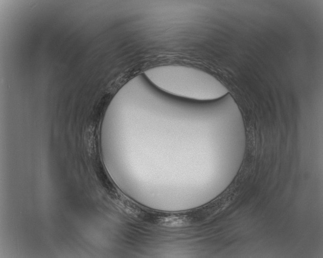 X0000060790511200511101038