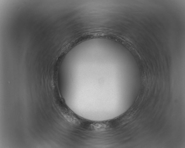 X0000060790512200511101038