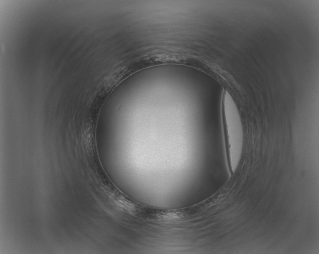 X0000060790513200511101037