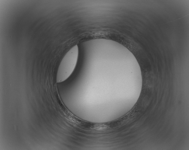 X0000060790514200511101037