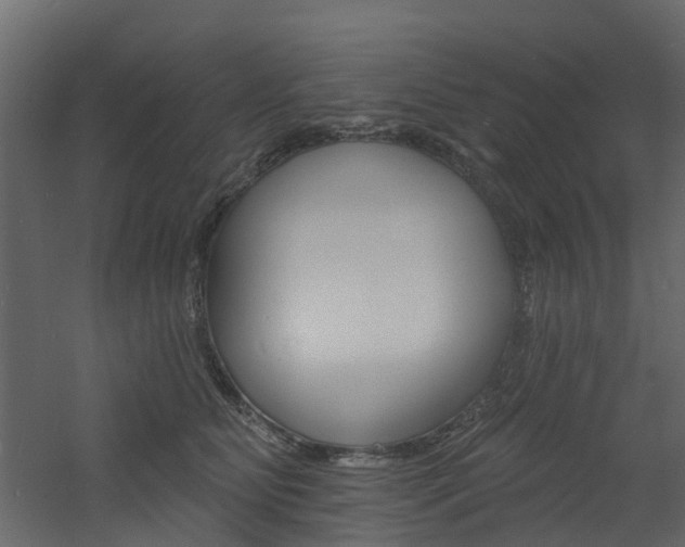 X0000060790515200511101037