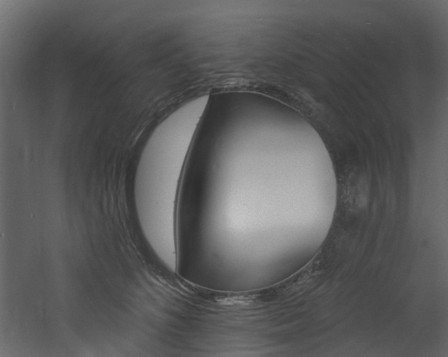 X0000060790516200511101037