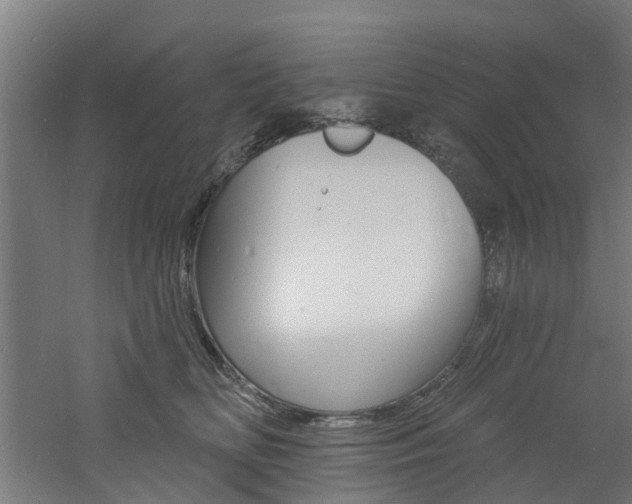 X0000060790518200511101037